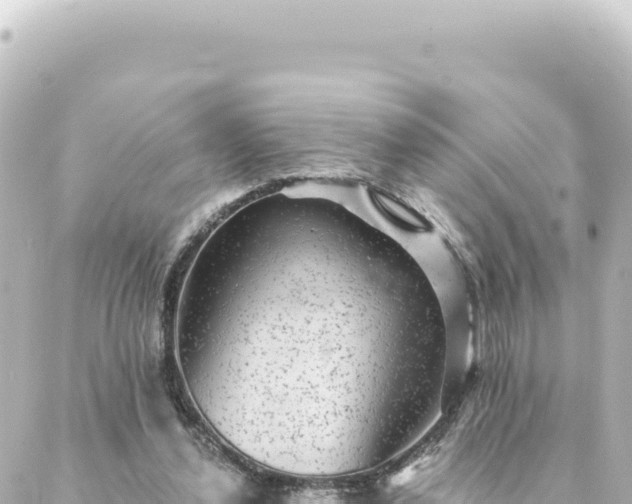 X0000088430252200705291532