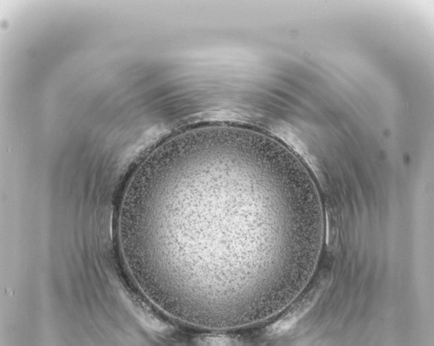 X0000088430253200705291532