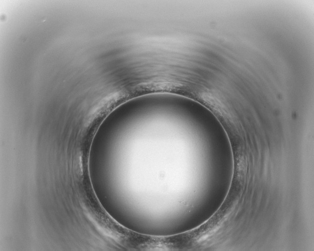 X0000088430254200705291532