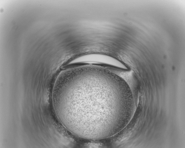 X0000088430255200705291532