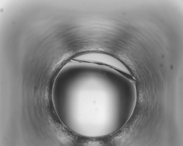 X0000088430256200705291532