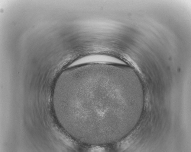 X0000088430257200705291532