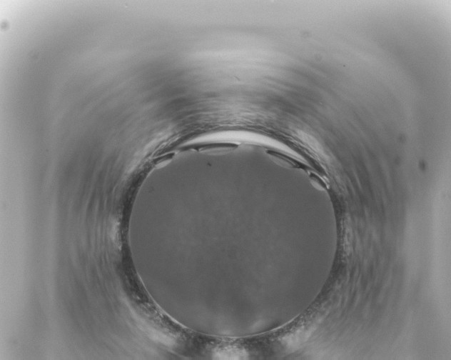 X0000088430258200705291532