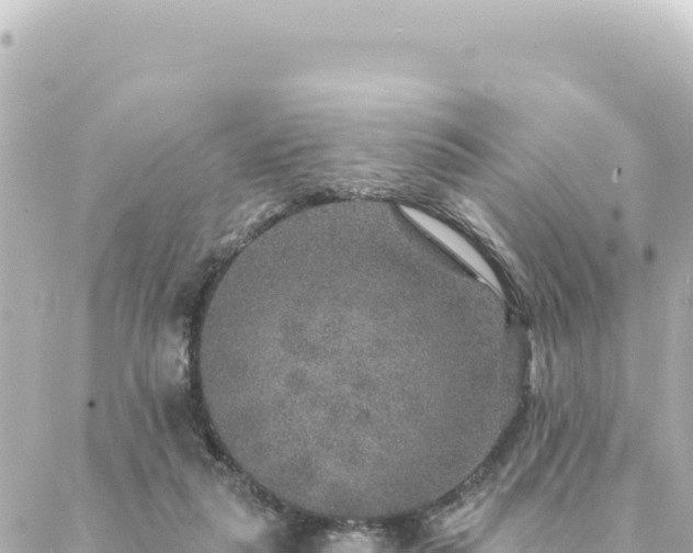 X0000088430259200705291532