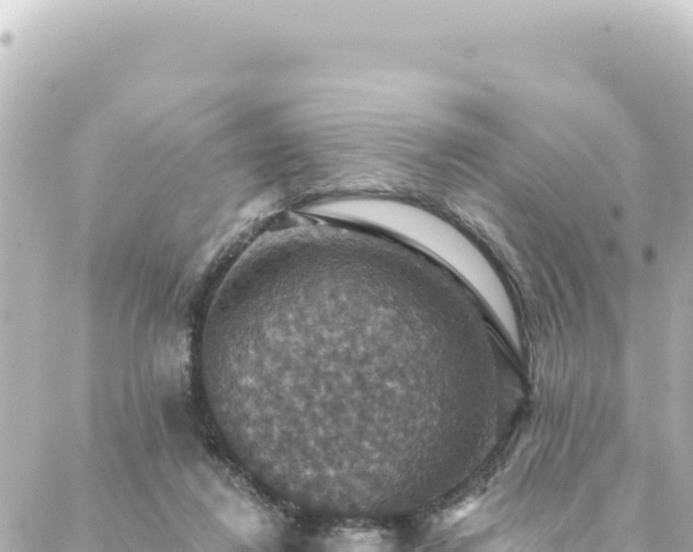 X0000088430260200705291532