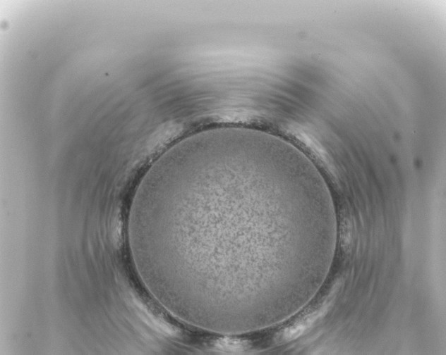 X0000088430261200705291532