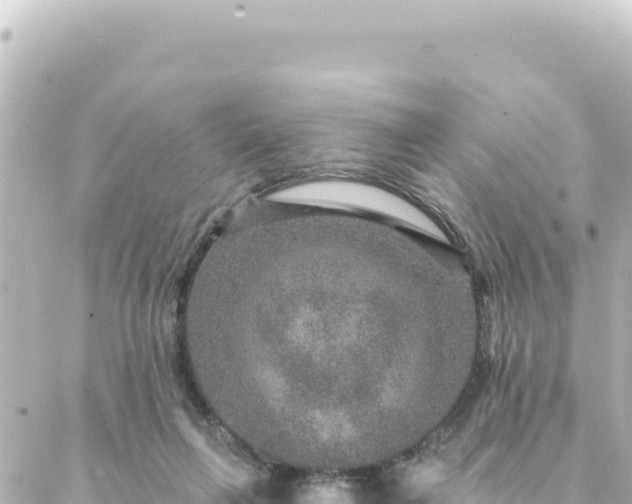 X0000088430263200705291532