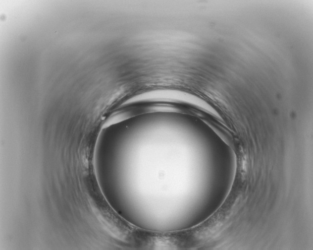 X0000088430264200705291532