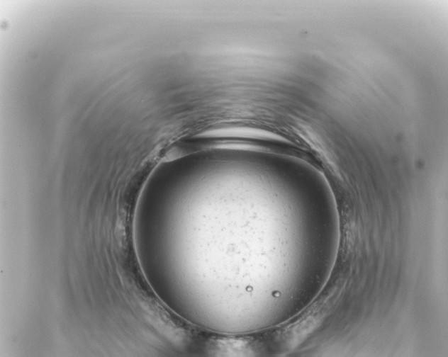 X0000088430265200705291532