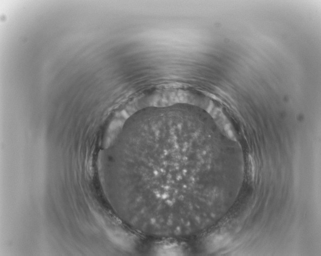 X0000088430267200705291532