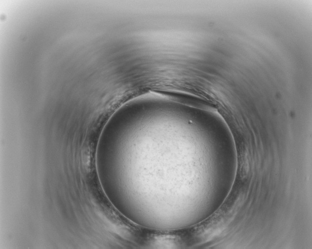 X0000088430268200705291532