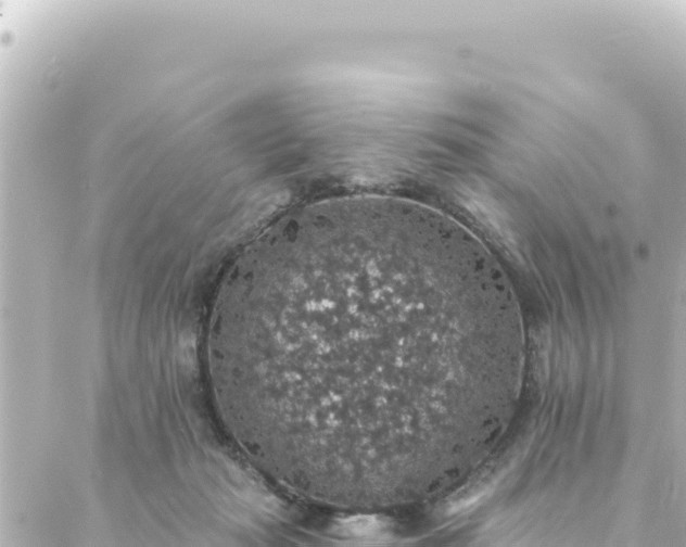 X0000088430269200705291532