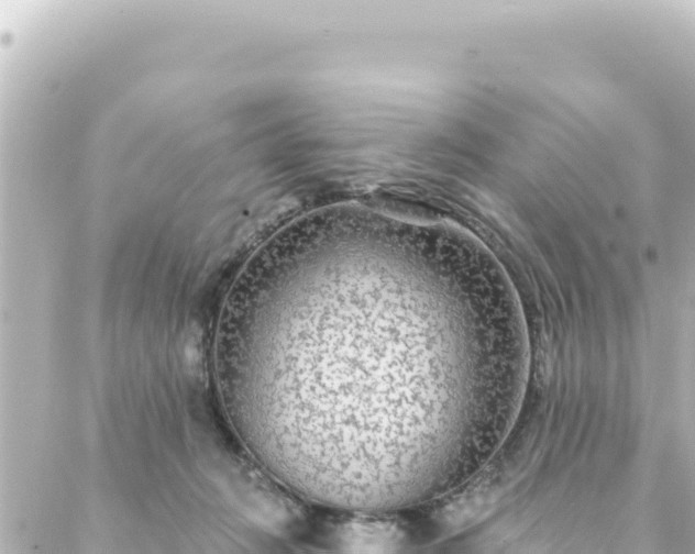 X0000088430270200705291532