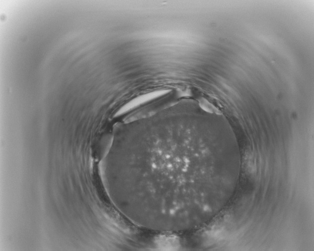 X0000088430271200705291532