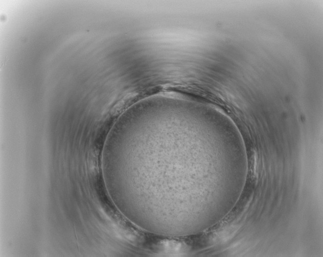 X0000088430272200705291532