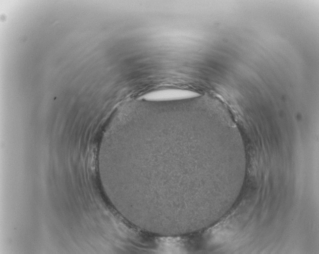 X0000088430273200705291532