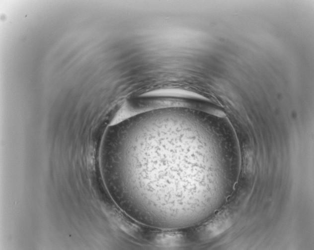 X0000088430274200705291532