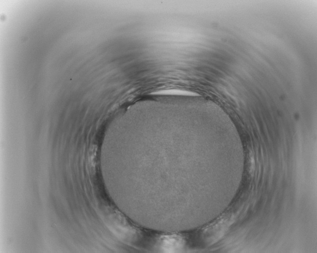 X0000088430275200705291532