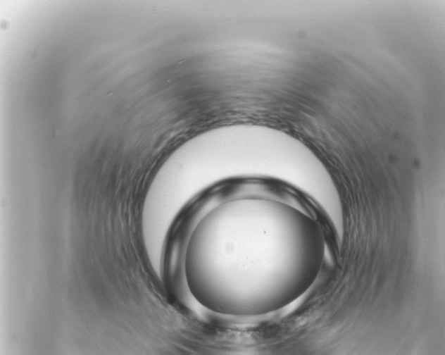 X0000088430276200705291532