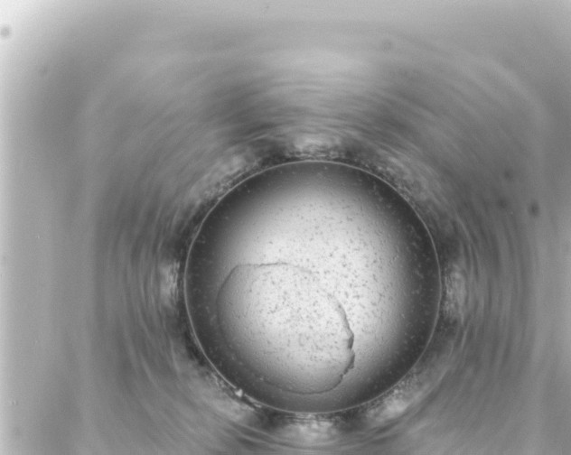 X0000088430278200705291532