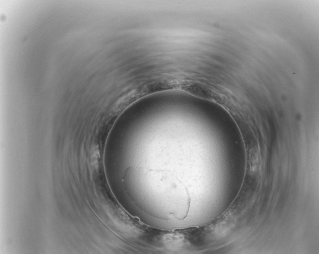 X0000088430279200705291532