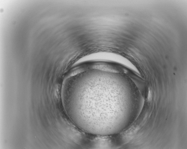 X0000088430280200705291532