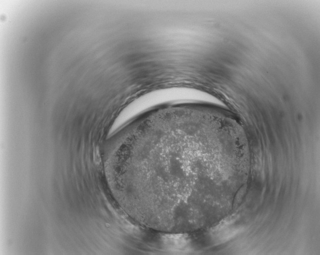 X0000088430281200705291532