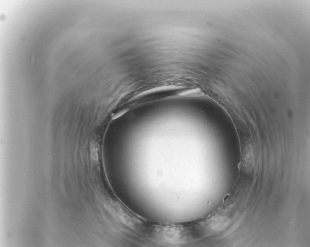 X0000088430282200705291532