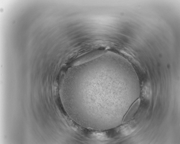 X0000088430283200705291532