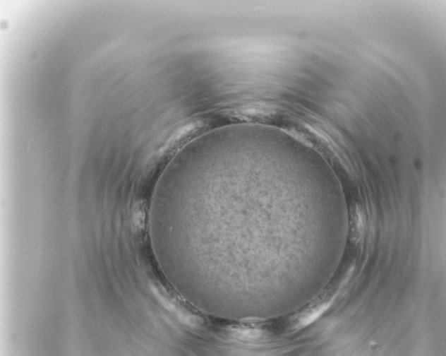 X0000088430284200705291532