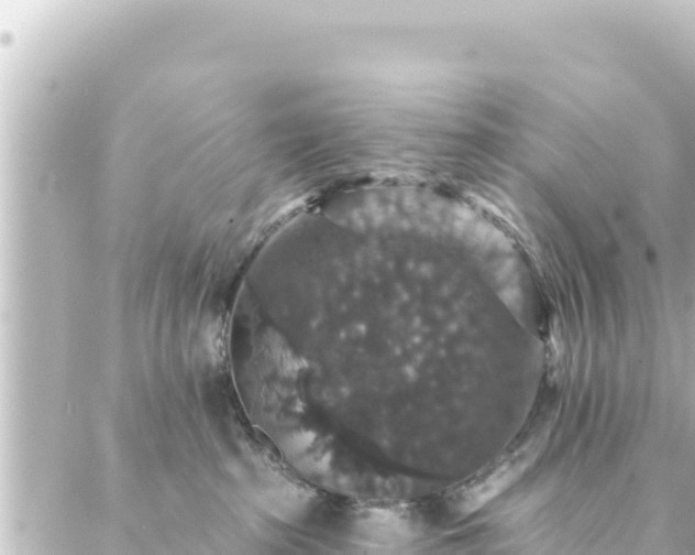 X0000088430285200705291532