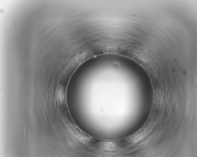 X0000088430287200705291533