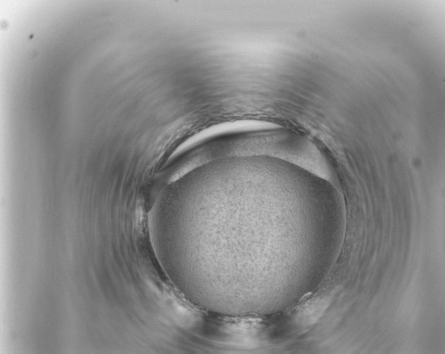 X0000088430288200705291533