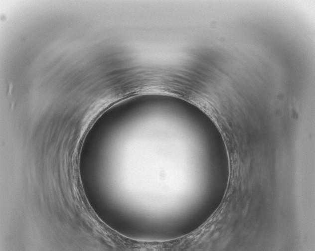 X0000088430289200705291532