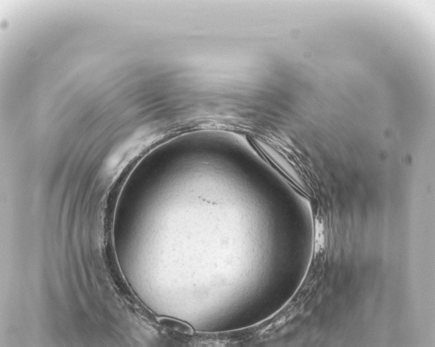 X0000088430291200705291532