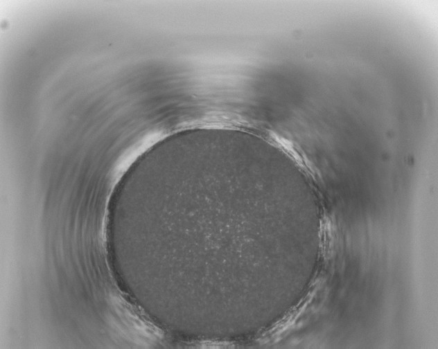 X0000088430292200705291532