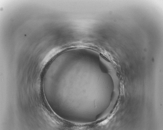 X0000088430295200705291532