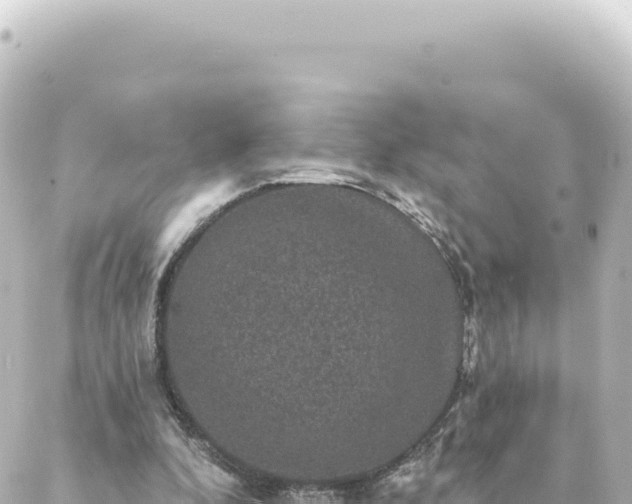 X0000088430296200705291532