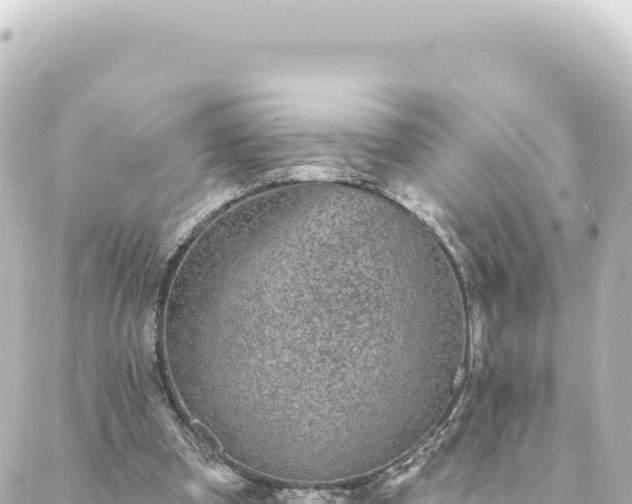 X0000088430297200705291532