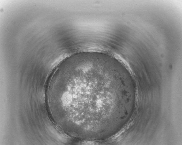 X0000088430298200705291532