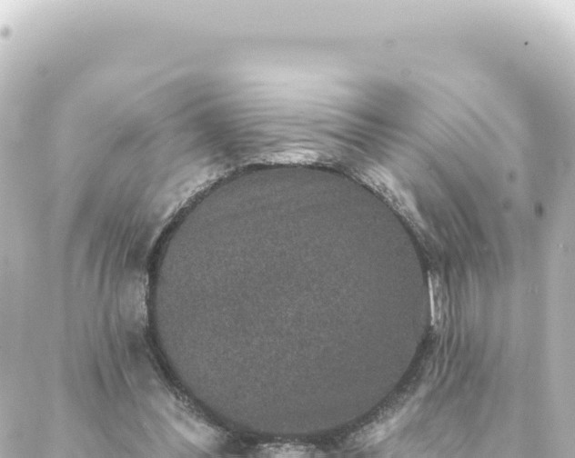 X0000088430300200705291532