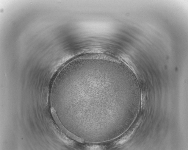 X0000088430301200705291532