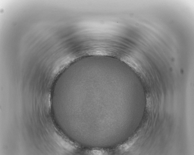 X0000088430302200705291532