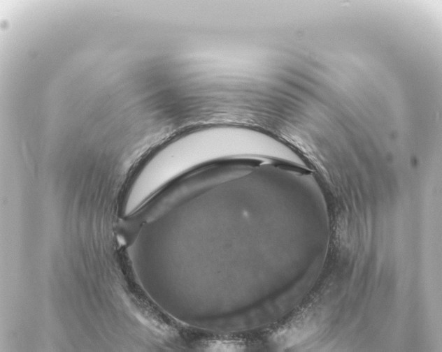 X0000088430303200705291532