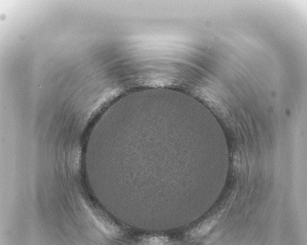 X0000088430304200705291532