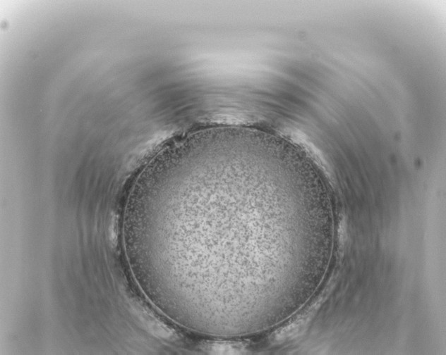 X0000088430305200705291532