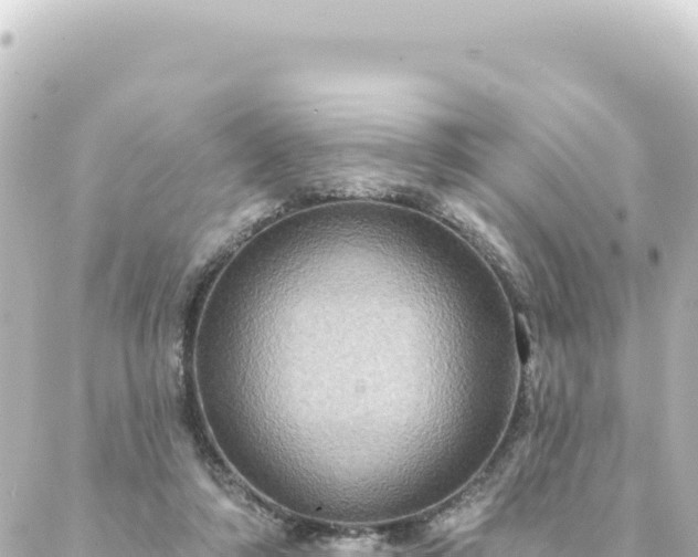 X0000088430306200705291531