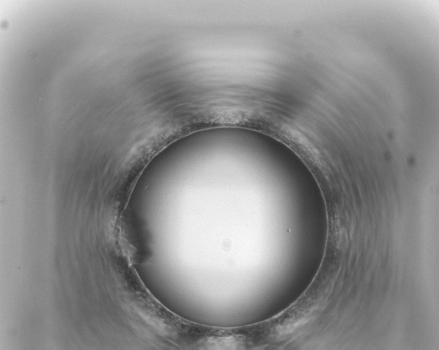 X0000088430307200705291531