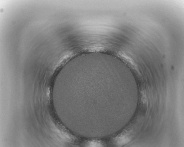 X0000088430308200705291531