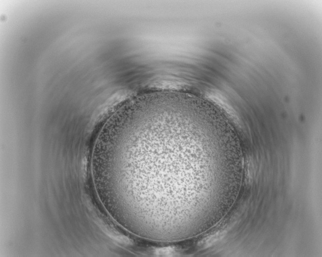 X0000088430309200705291531